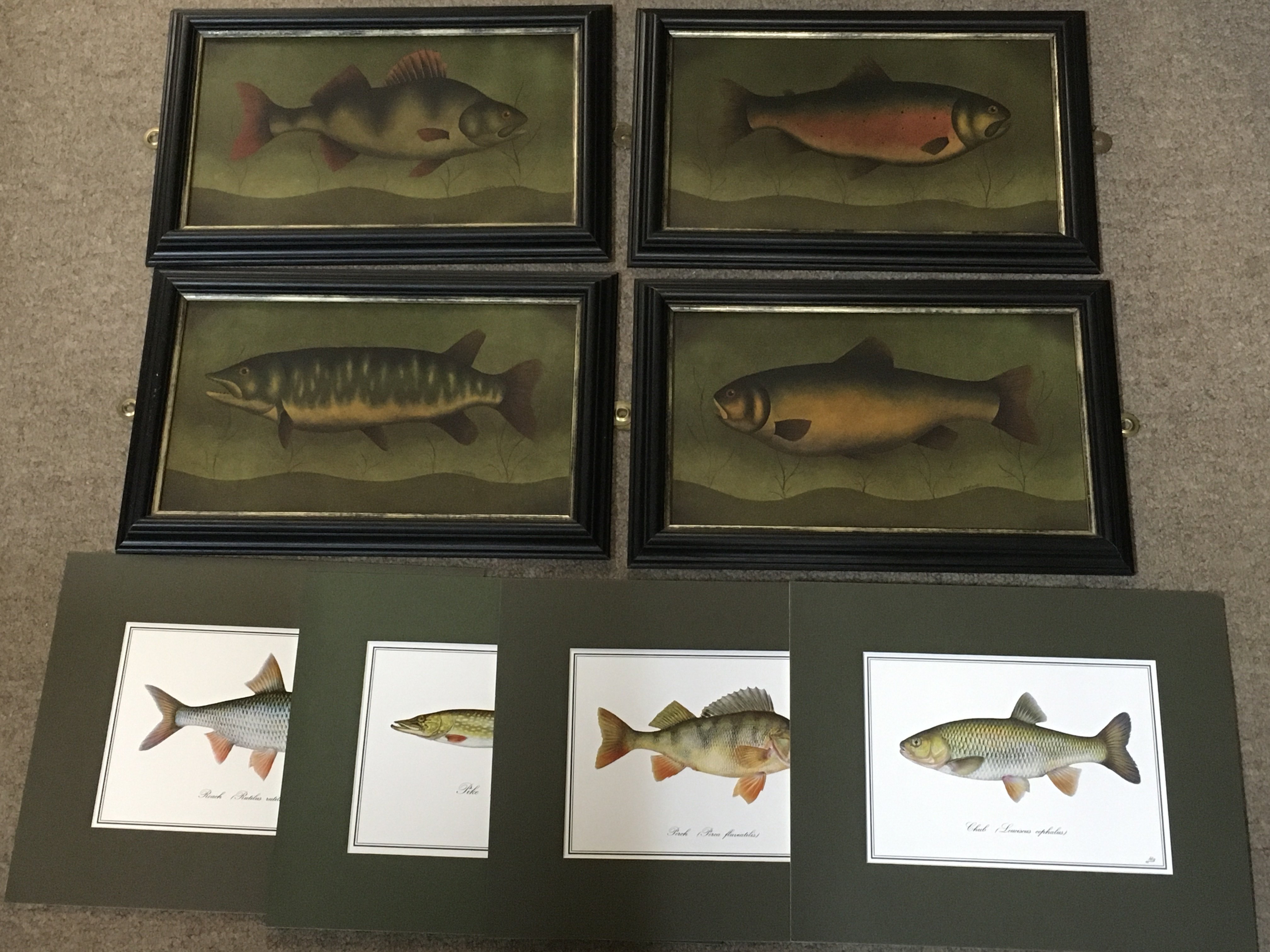 A collection of fish pictures by H.Cornner frame sizes 36x22cm and prints . Postage catB
