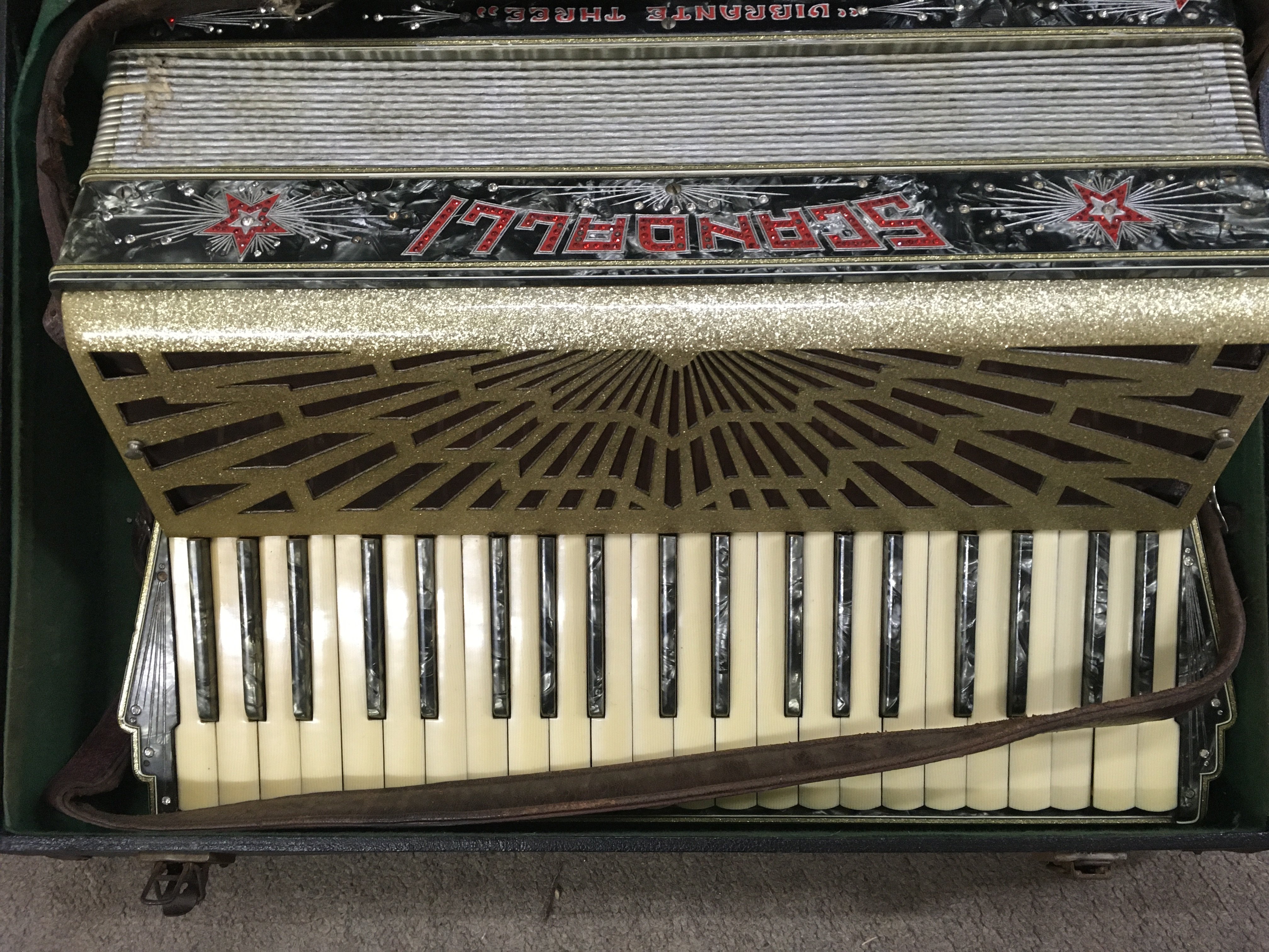 A. Italian acordian fitted in original case