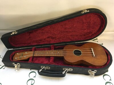 A Roy Smeck ukulele with hard carry case.