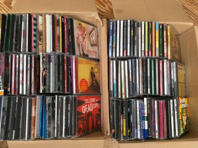 Six boxes of CDs by various artists including Pearl Jam, Nirvana, UK Subs, Beck, Mudhoney and many more.