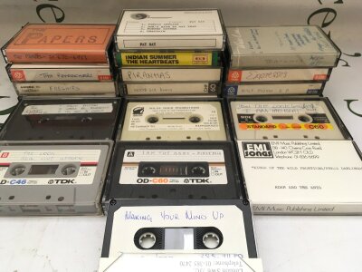 A collection of demo cassettes by various artists including Adam & The Ants, Fay Ray, Freshies and others. These were acquired by the vendor who worked at MCA Records from 1977-81.