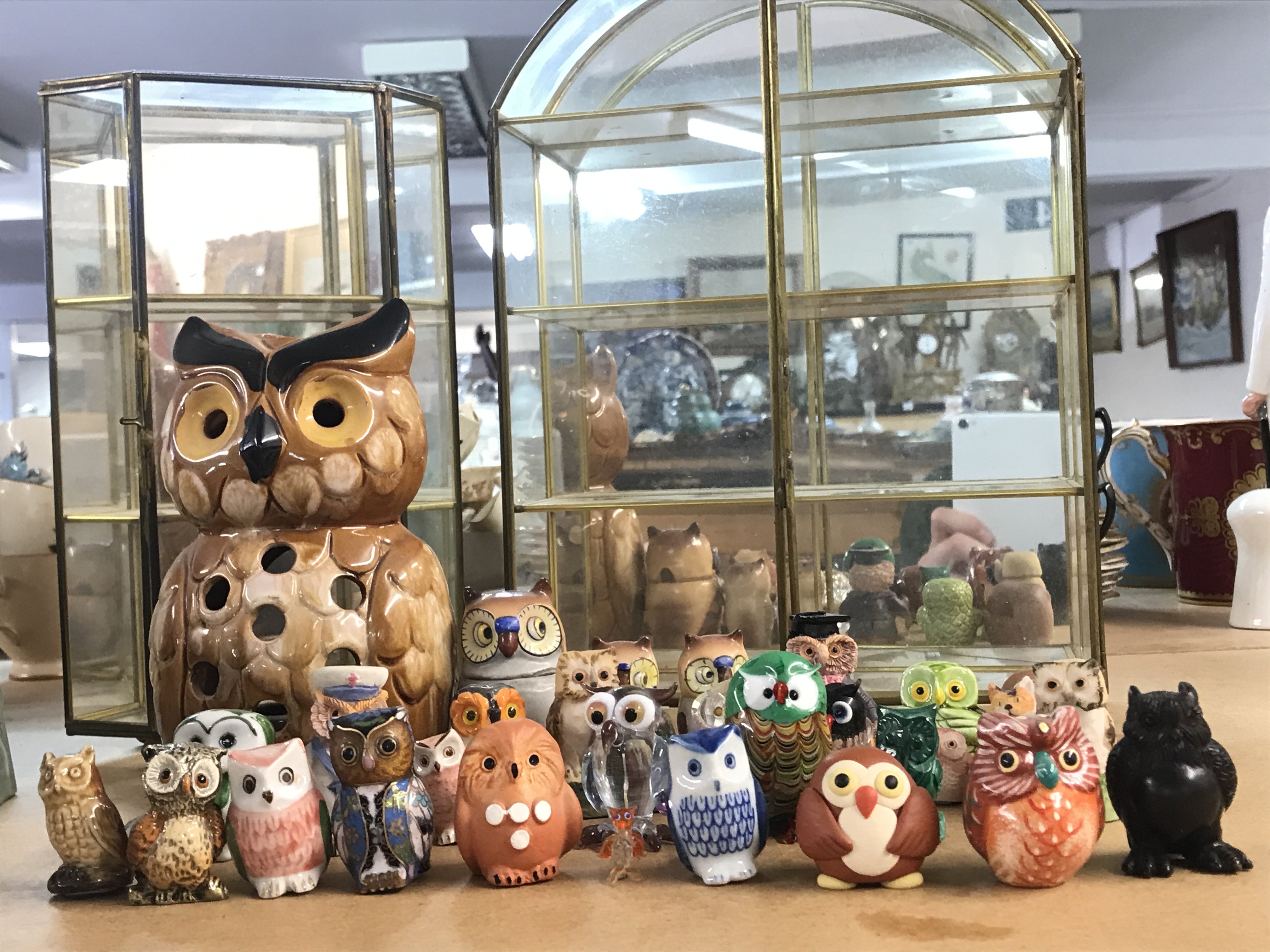 A Collection of owl figures and two display cases, this lot cannot be posted