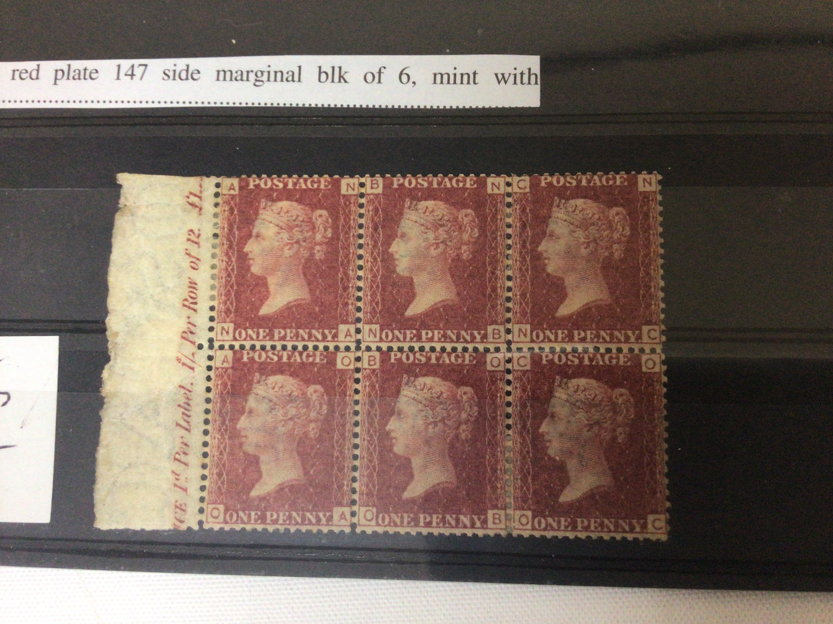 A very good collection of unused blocks of Victorian Penny Red stamps most with SG references and plate numbers including a block of eight plate 202 in near mint condition all others also in very good near mint condition two single unused Penny reds both F-K 1841.