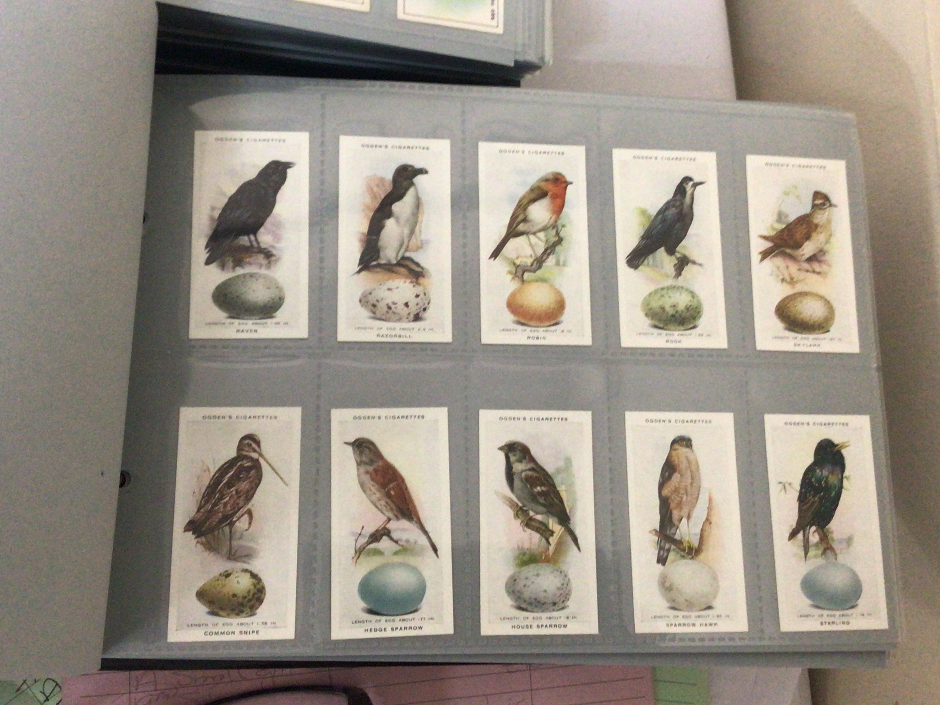 A collection of Vintage cigarette cards. Well presented in five albums Sunripe & Spinet Oval Moorgate and numerous other sets Rover Worlds Best Cigarettes Ogdens and others.