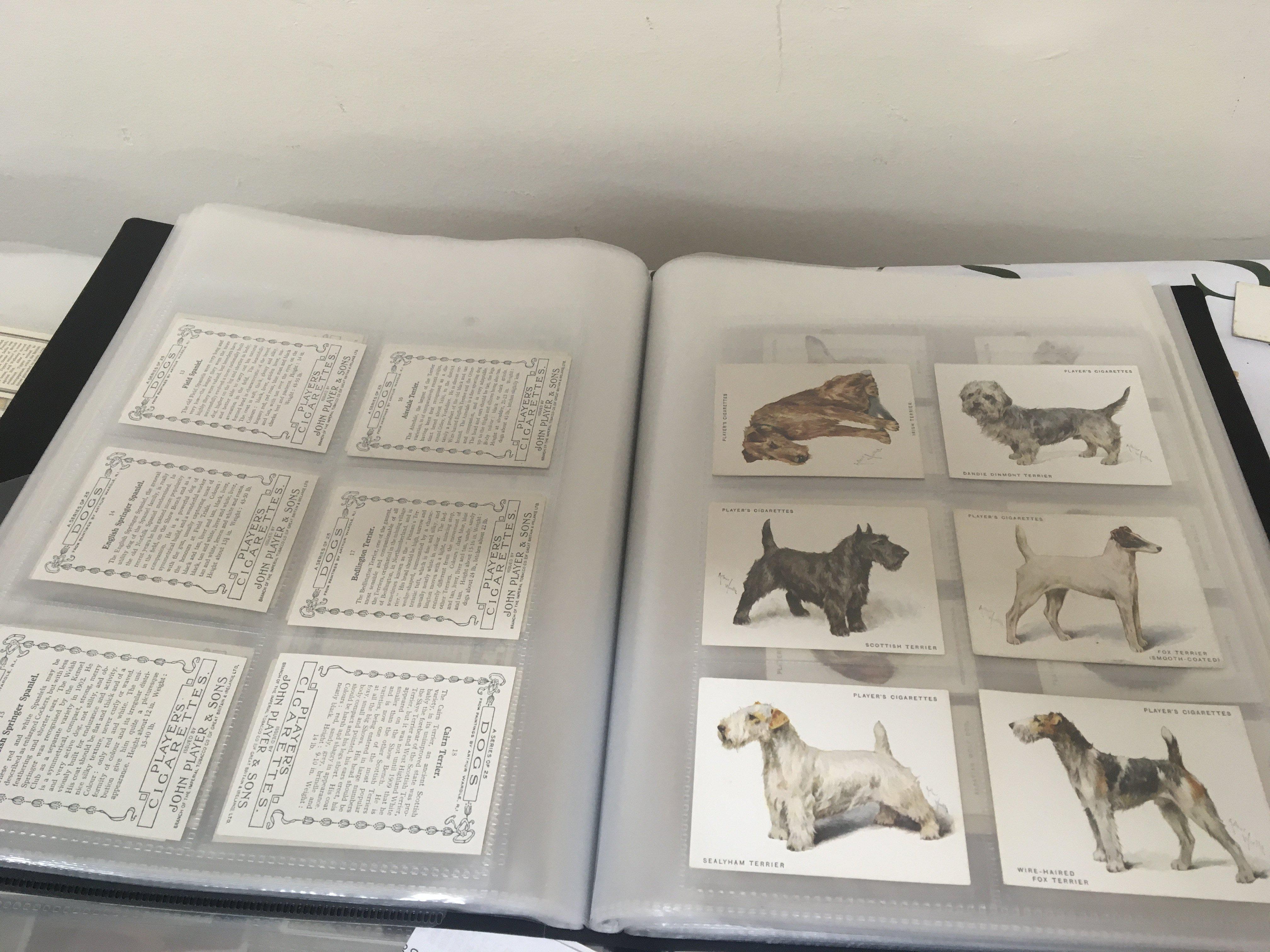 Three Well presented full albums containing vintage cigarette cards and other collectors cards including large size Players Racing Yachts Tom Thumb British Railways Soldiers of the World Classic Sports cars Rothmans Landmarks in Empire History. Large and small sets of Players dogs and many other sets. (3)