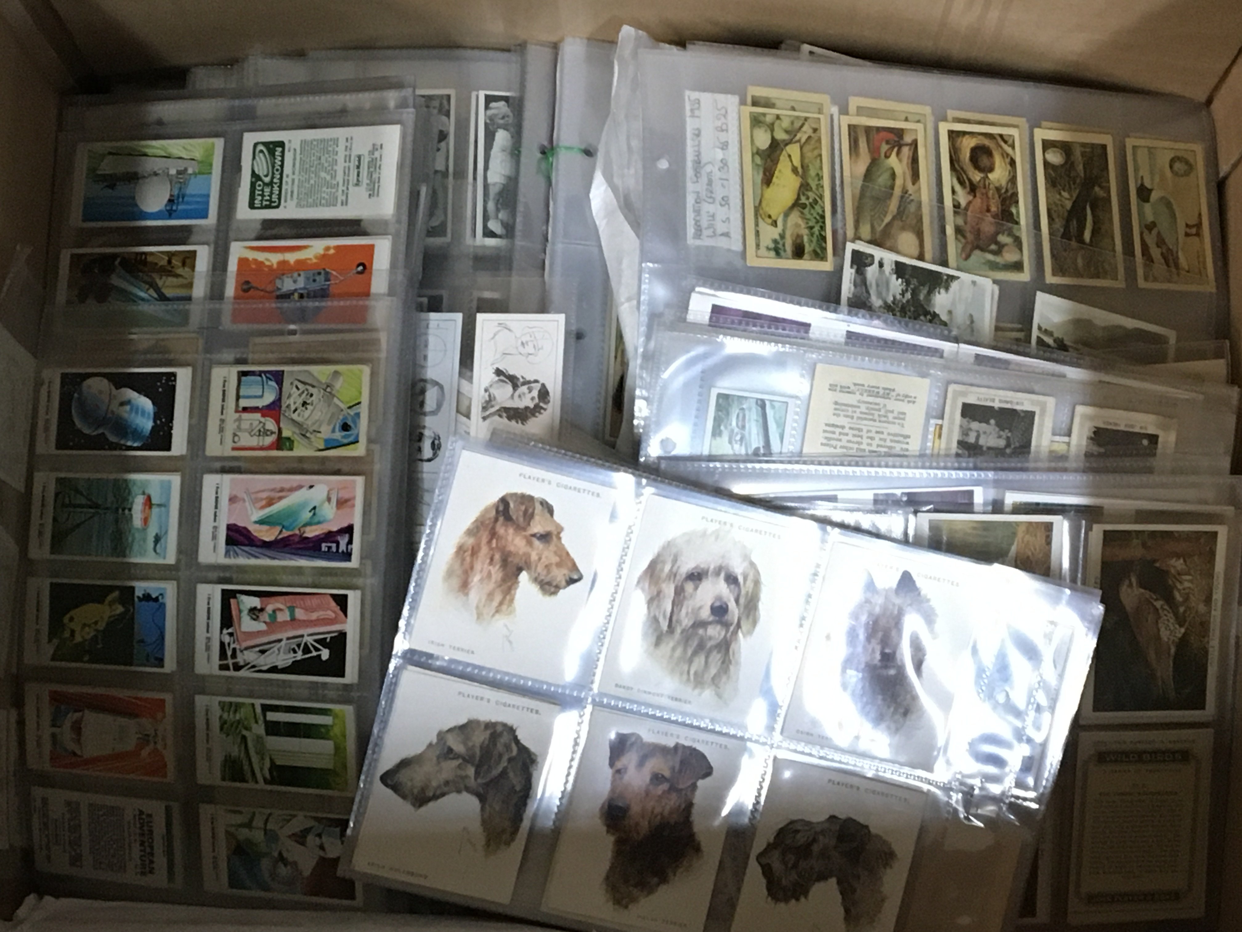 A box containing an extensive collection of Vintage Cigarette cards and trade collect
