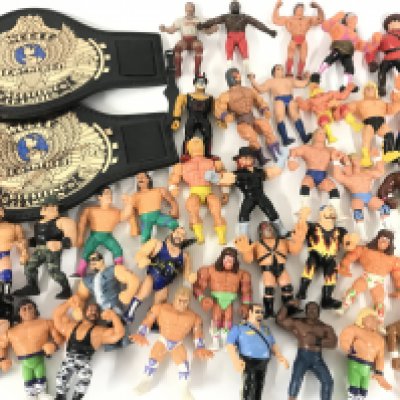 A Collection of Vintage WWF Figures.