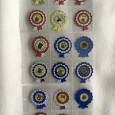 BABS Rosettes Football Cards: Mint condition rare cards of club badges in the centre of a rosette shaped card. (17)