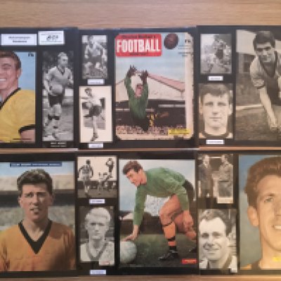 Wolverhampton Wanderers 1940s 1950s 1960s Football Autograph Collection: Stunning private collection all pre 1970 from various publications. All signatures are identified and laid down with photo corners on 12 x 12 inch card and easily removable. 52 pages to include 2 fully signed team groups,13 signed trade cards including 1958/59 A&BC champions card with 15 autographs, 5 signed autograph pages, 3 signed original press photos and 221 various sized pictures to include 27 A4. 148 different player signatures including Jesse Pye, Kenny Hibbitt, Alun Evans, Johnny Hancocks, Derek Dougan, Fred davies, Peter Knowles, Roy Swinburne, John Richards, Ernie Hunt, Johnny Walker, Frank Wignall, David Wagstaffe etc. (410+)