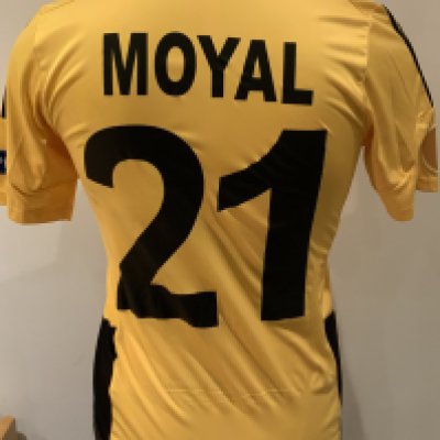 Sheriff 2012 - 2013 Match Worn Football Shirt: Yellow and black short sleeve shirt with Europa League badging to sleeves. Moyal 21 to rear. Worn during the tie  against Tottenham on 7 November 2013. Moyal played the first 60 minutes. 