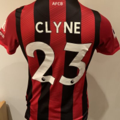 Bournemouth 2018 - 2019 Match Worn Football Shirt: Red and black short sleeve shirt with Premier League badges to sleeves. Clyne 23 to rear.