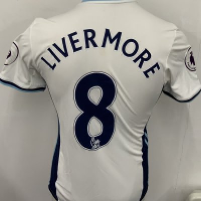 West Brom 2016 - 2017 Match Worn Football Shirt: Blue and white short sleeve shirt with Premier League badging to sleeves. Livermore 8 to rear. Worn v Crystal Palace on 4 March 2017.