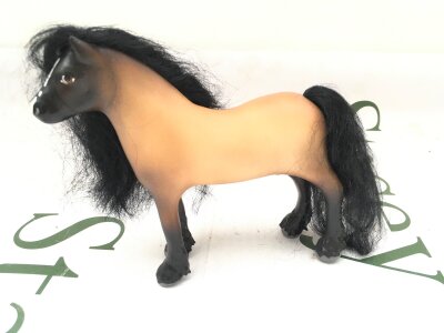 A Original Julip Dartmoor Mare, Roan in Colour With Black Mane, Blaze.