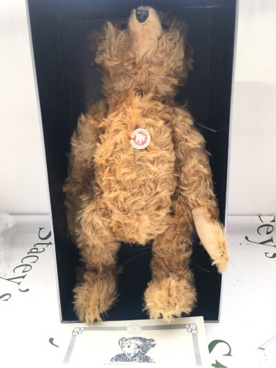 A Boxed Steiff, The Barle 1904 Replica. No Reserve.