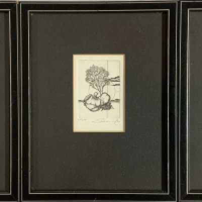 3 small framed etchings each signed limited editions. 23cm x 18cm.