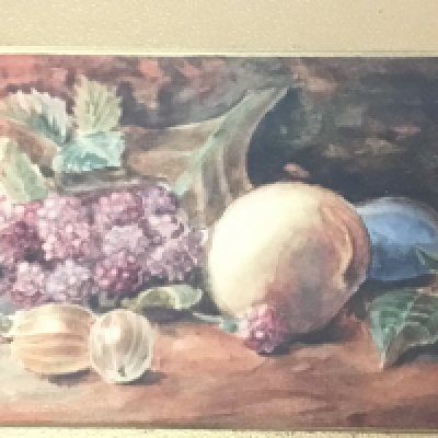 A pair of gilt framed watercolours studies of fruit and foliage indistinctly, signed. 36x30cm. NO RESERVE