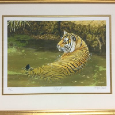 Six framed and glazed limited edition prints hand numbered and signed by Stephen Gayford of tigers and leopards. Shipping category D.