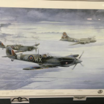 A multi signed limited edition print titled little friends. Signatures by artist and 5 aircrew. Comes with COA and in conservation frame. 103cm by 83. Postage D