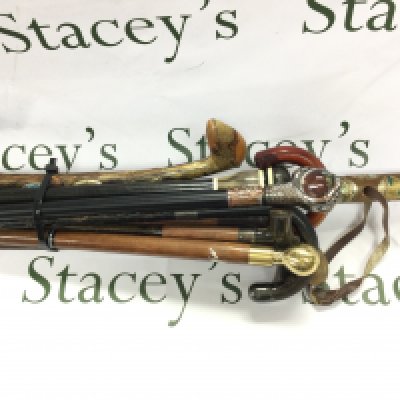 A collection of various aged walking sticks including a sword stick.