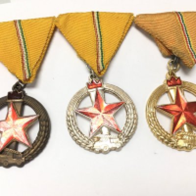 A collection of Hungarian Fire Protection medals in different grades . Postage category A NO RESERVE