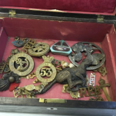 A Rosewood work box containing military badges. Including Shropshire and Derbyshire helmet badges.