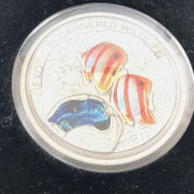 Fiji 20 dollar 2013 fine silver coin. Weight 2oz. Postage category A.