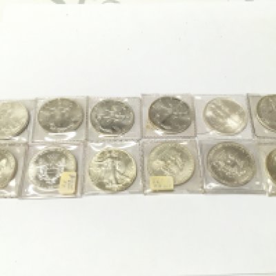 12 1oz fine silver dollars