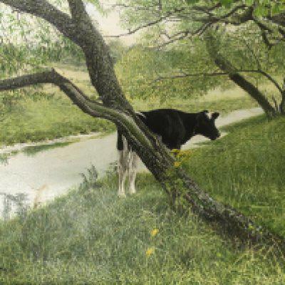 A framed acrylic painting study of friesian cows entitled Stand and Stare signed by the artist Kenneth James Saterlay the reverse with The Mall Exhibition label and one other smaller acrylic painting study of a river (2) 54x44cm and 36x28cm