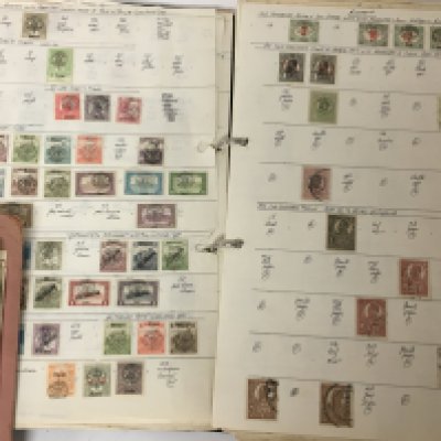 Thirteen albums of world stamps all mainly used stamps including 19th century stamps and many of the first half of the 20th century. (13)