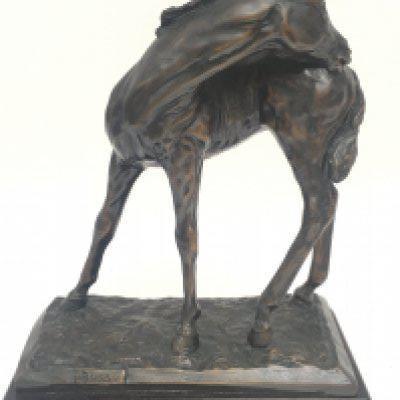 Gill Parker bronze sculpture study of a Foal, titled Bliss. Dated 1982. Approximately 23cm tall. Postage category B