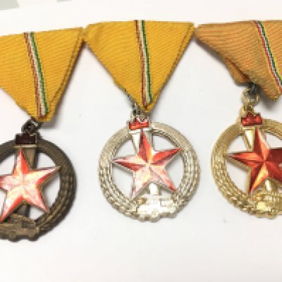 A collection of Hungarian Fire Protection medals in different grades . Postage category A