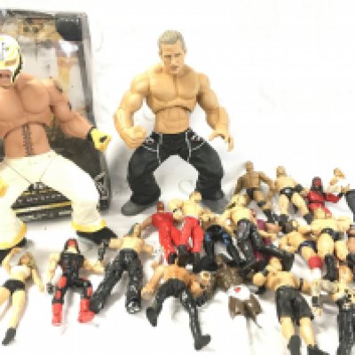 A Collection Of WWE Wrestling Figures Including 2 Ring Giants. No Reserve.