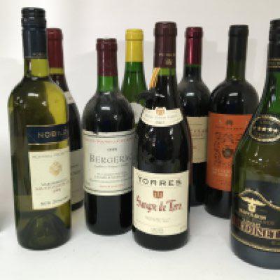 A collection of wines including a 1995 Bergerac 1994 Red Burgundy 2006 Classic Bordeaux a bottle of French Brandy (9)