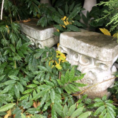 a pair of composition, concrete, pedestals garden, ornament sculptures in the form of stylised, dolphins. Good condition sold in situ freestanding buyer to collect. 36cm high.