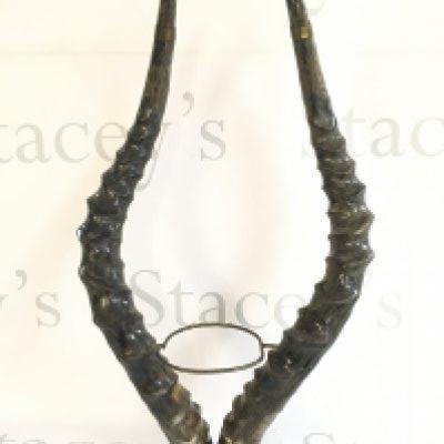 Gazelle horns mounted on brass. 47cm tall. Postage category C