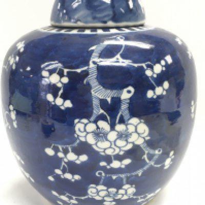 A late 19th Century Chinese blue and white ginger jar. 24cm tall. No obvious large damage or restoration This lot cannot be posted