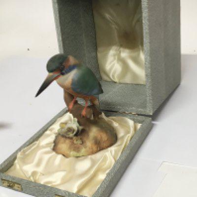 A Royal Crown Derby porcelain sculpture in the form of a Kingfisher marks to the base no obvious damage original box. Hight 13cm NO RESERVE