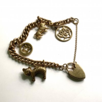 A 9ct gold charm bracelet. 12.6g (A)