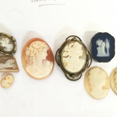 A collection of cameos including Wedgwood. This lot cannot be posted