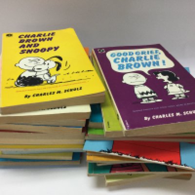 A collection of 1970s snoopy books. NO RESERVE