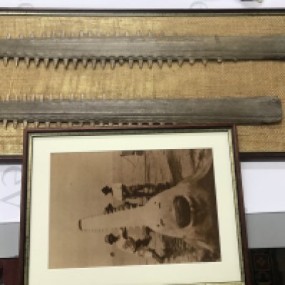 Two swordfish rostrum bills set in a frame. The large of the two is approximately 69cm. Accompanied with a framed photo of swordfish. Postage D