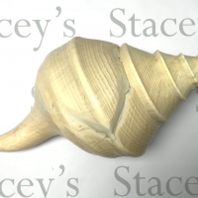 A large Australian trumpet Syrinx aruanus snail shell. 53cm