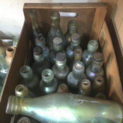 A collection of various 19th/ early 20th Century glass bottles .
