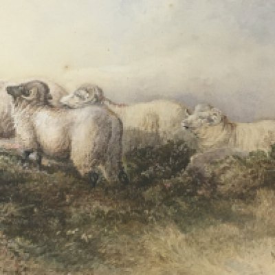 A large framed 19th century watercolour study of sheep and birds entitled On The Moors by WH Piggott. Signed and dated by the artist Jan 1871. 90x57cm