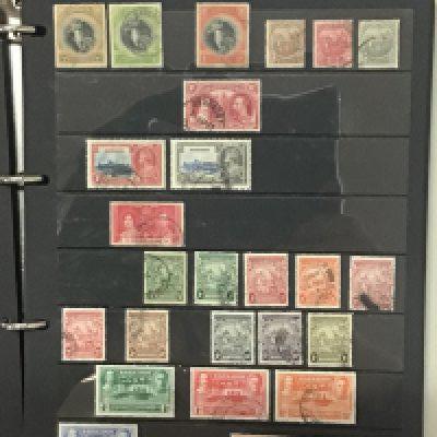 Five blue Alpha Stamp Albums containing British colonial and Empire stamps from Queen Victoria to Elizabeth II mainly used stamps well presented in sleeves an album of New Zealand stamps India Australia Barbados and more (5). NO RESERVE