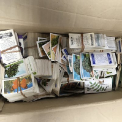 A box containing tea cards various.