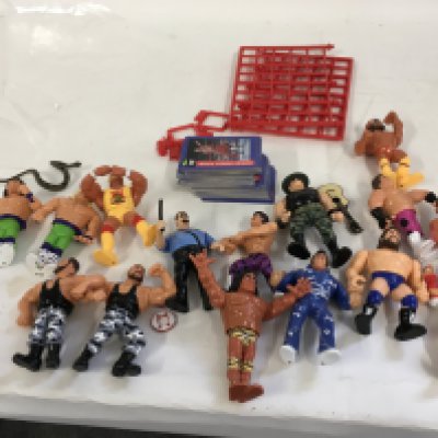 A collection of vintage WWF action wrestling figures plus accessories also includes approximately 100 cards. Also includes vintage Raphael TMNT. No reserve