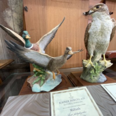 A Large Kaiser porcelain figure of a Pereguin Falcon 698/1500 together with a Kaiser porcelain figure of Mallards. (D, postage not avaliable).