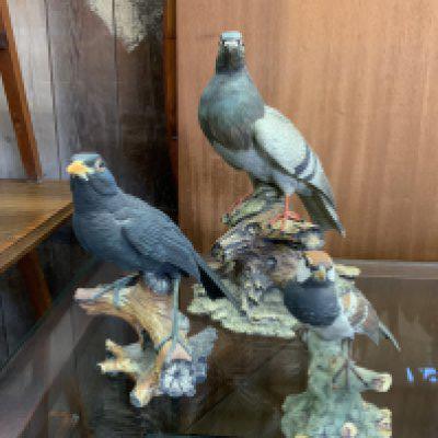 3 Italian porcelain bid figurines. Largest 30cm.