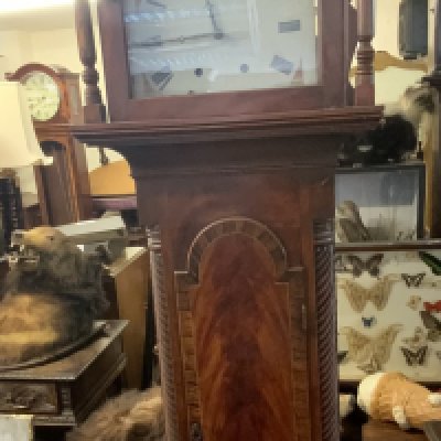 An antique longcase clock, in need of restoration. (D).